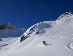 MYSKICOACH.CH VALAIS-SUISSE. Cours de ski, formation freeride, hors-piste pour adultes et adolescents de niveau novice à intermédiaire. Visez l’autonomie en découvrant de nouveaux spots : freeride val d'Hérens, Arolla, Evolène, Nax, Thyon 4 Vallées