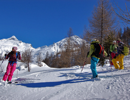 formation freeride novices